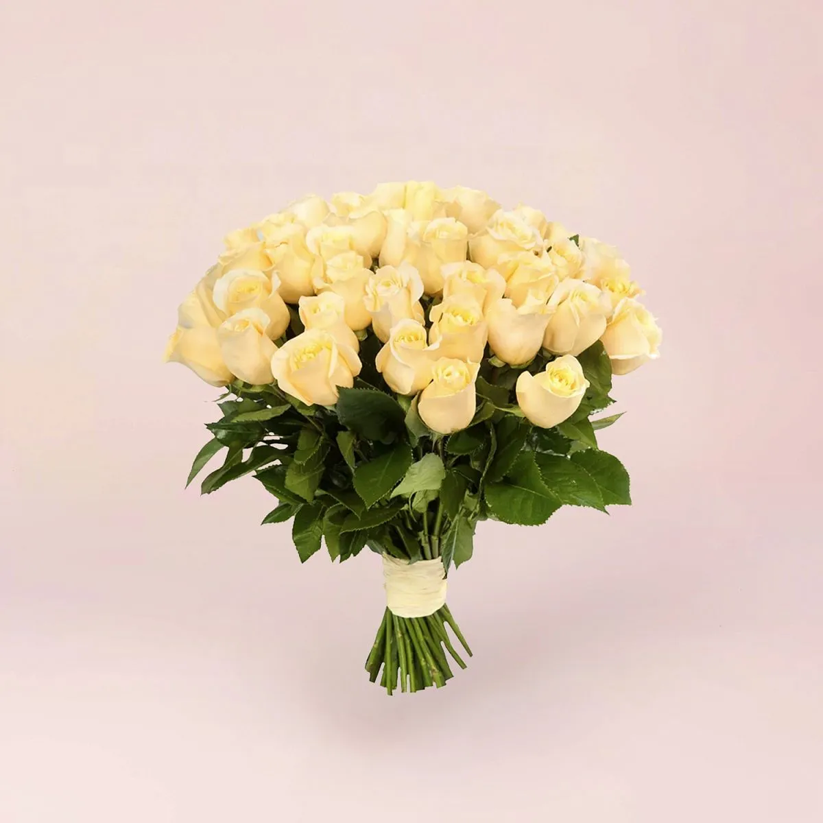 65 кремовых роз (35 см)