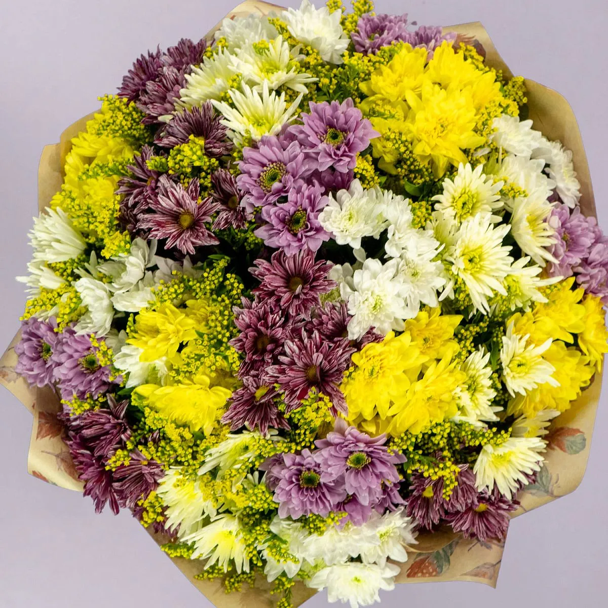 Букет из 25 хризантем микс и солидаго