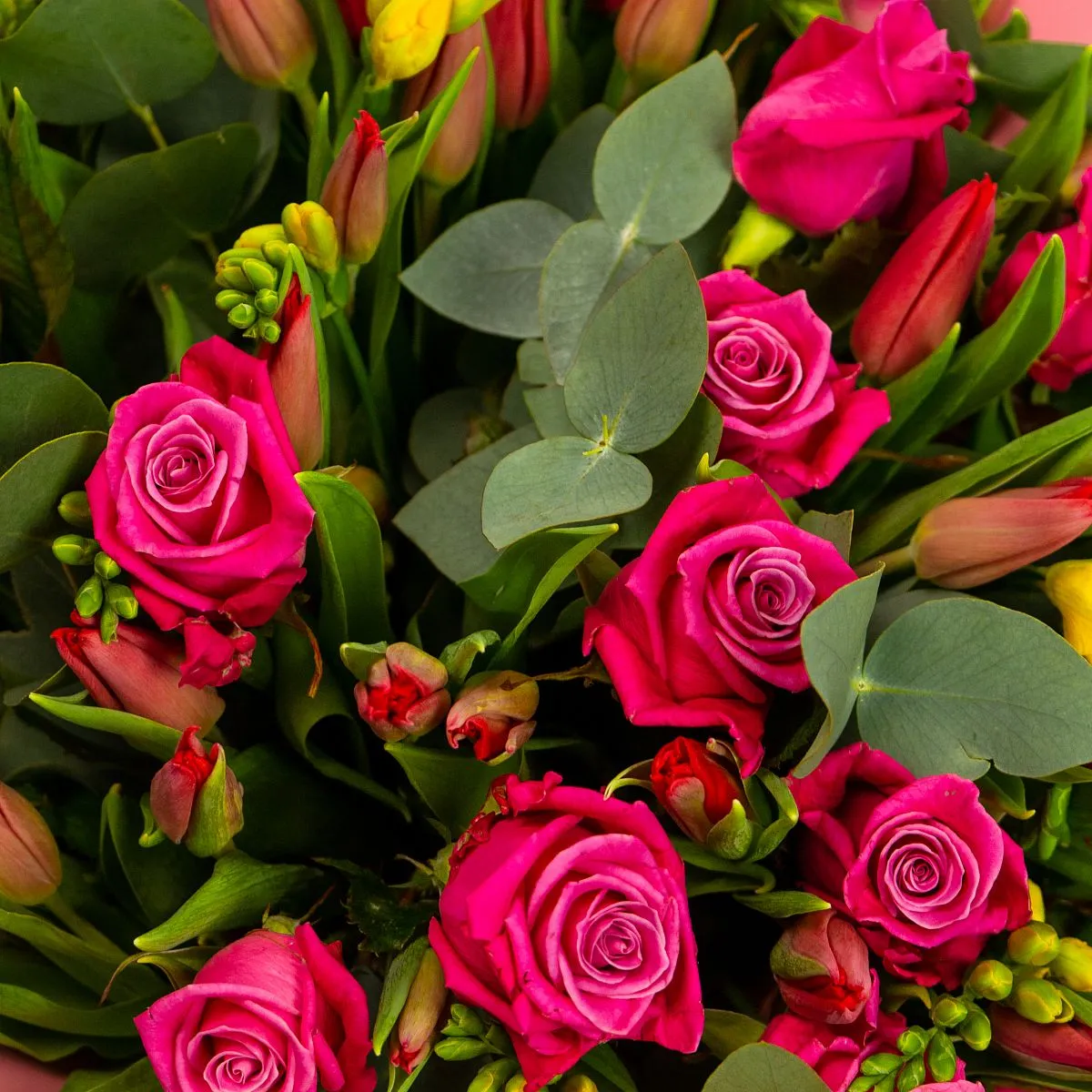 Букет из 20 роз и 50 тюльпанов