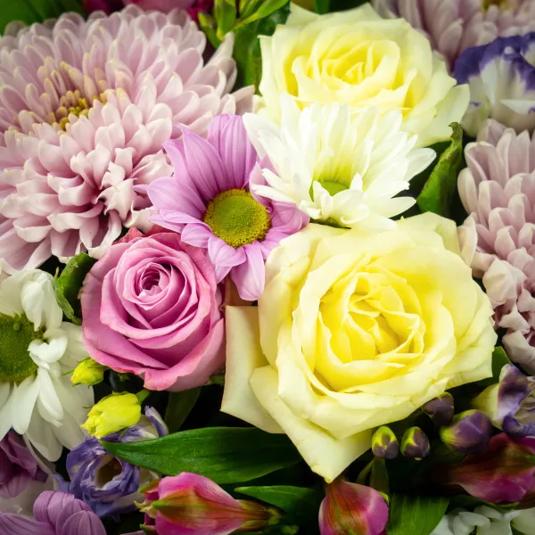 Хризантемы микс и розы (40 см) в коробке