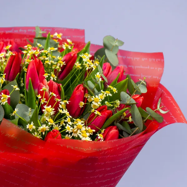 Букет из 25 тюльпанов и танацетумов