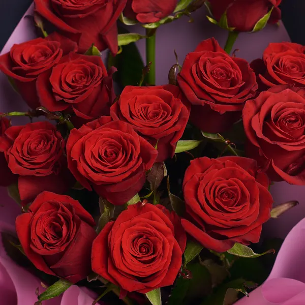Букет из 15 темно-красных роз (60 см)