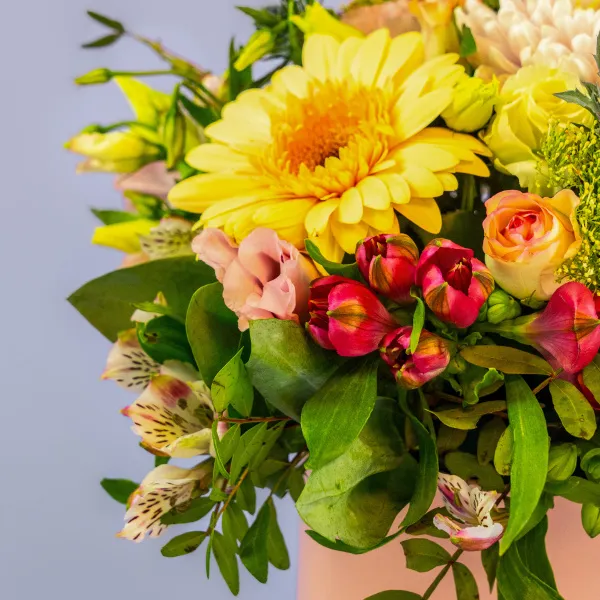 Герберы, альстромерии, розы в коробке