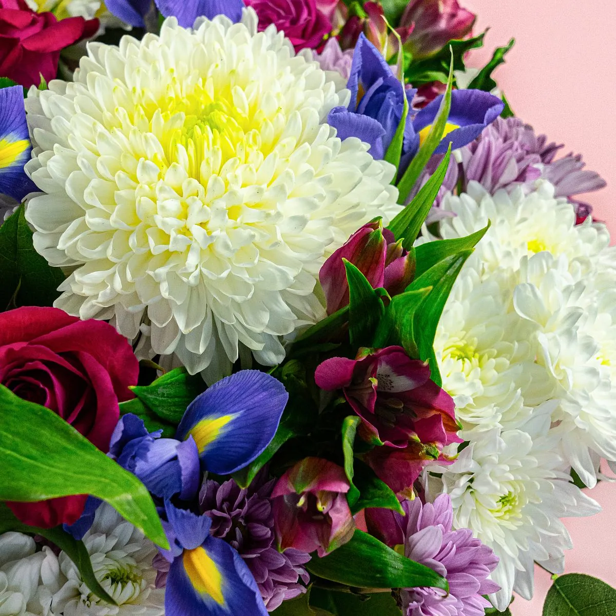 Ирисы и хризантемы микс в коробке