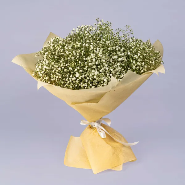 21 белая гипсофила