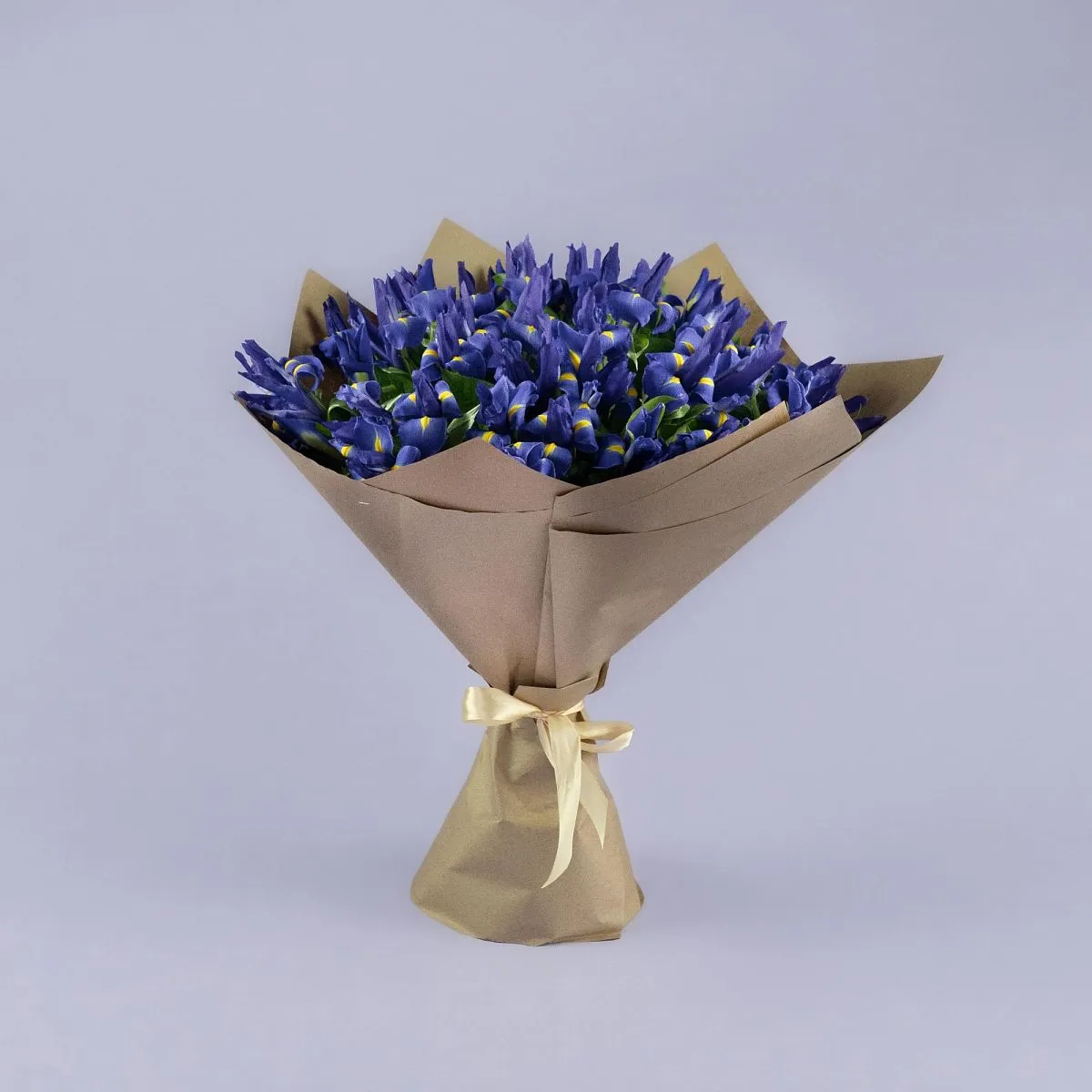 49 синих ирисов