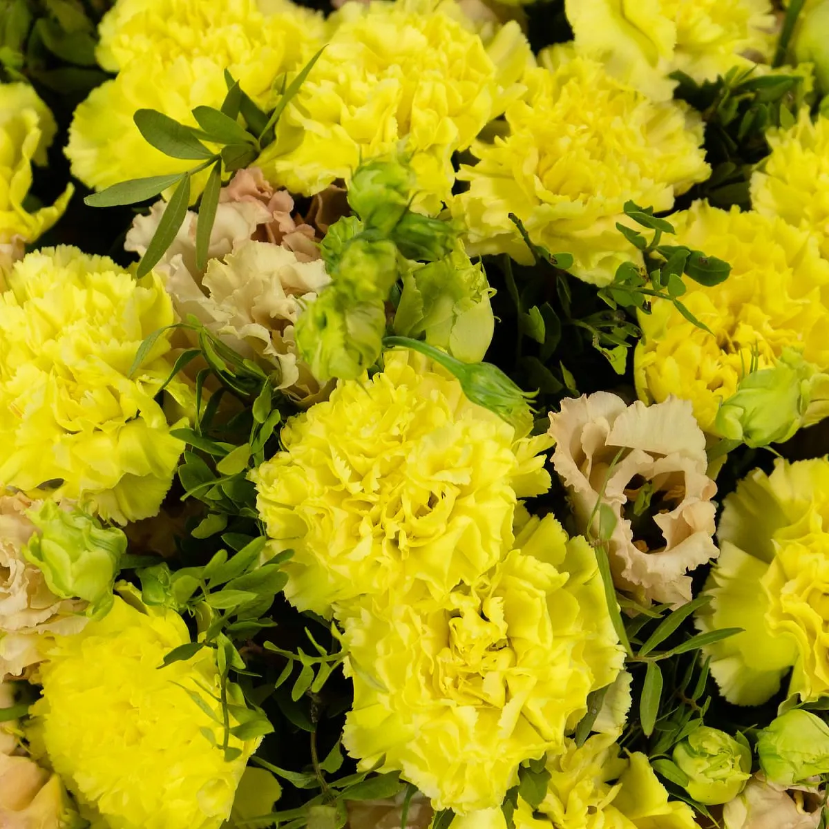 Букет из эустом и желтых гвоздик