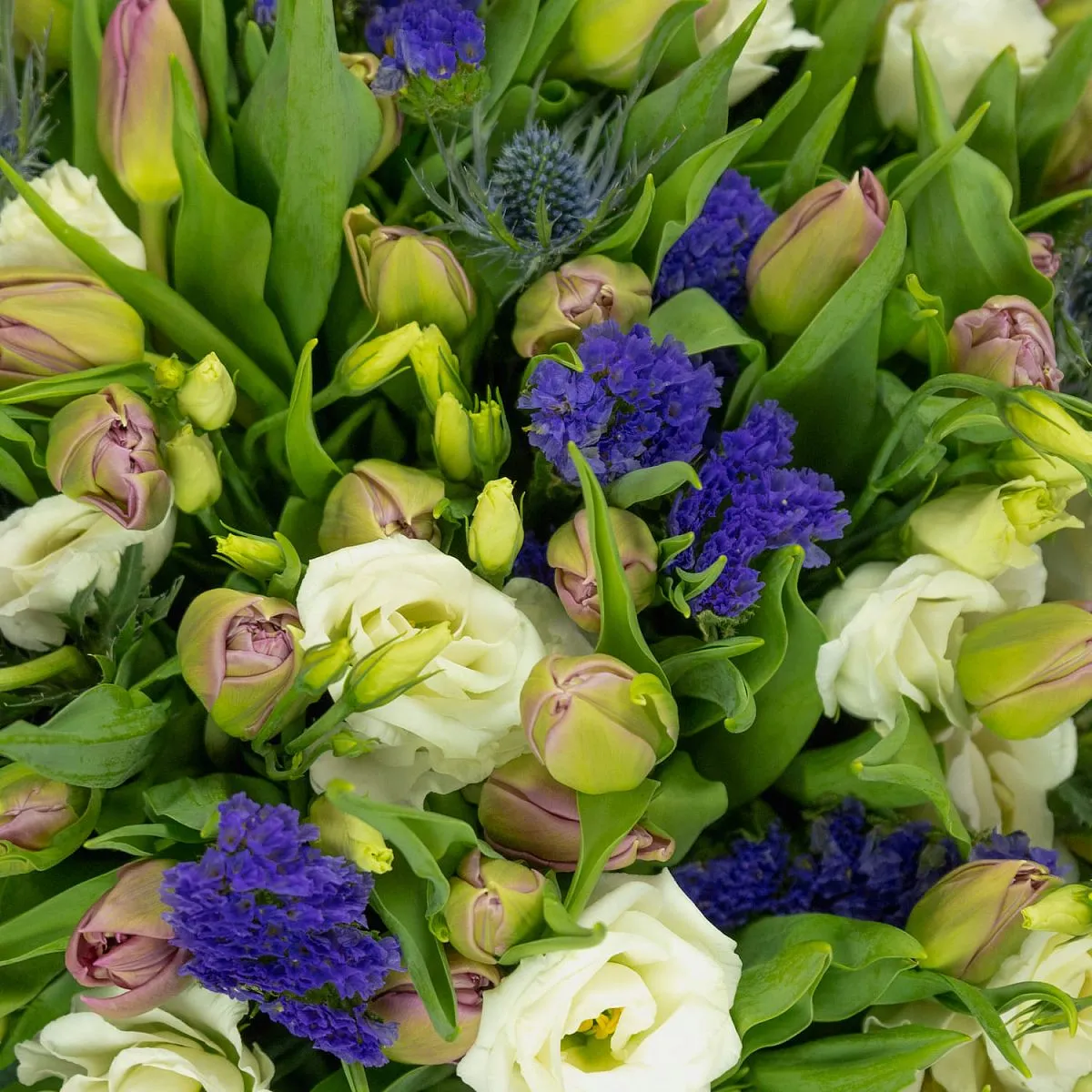 49 тюльпанов и эустомы