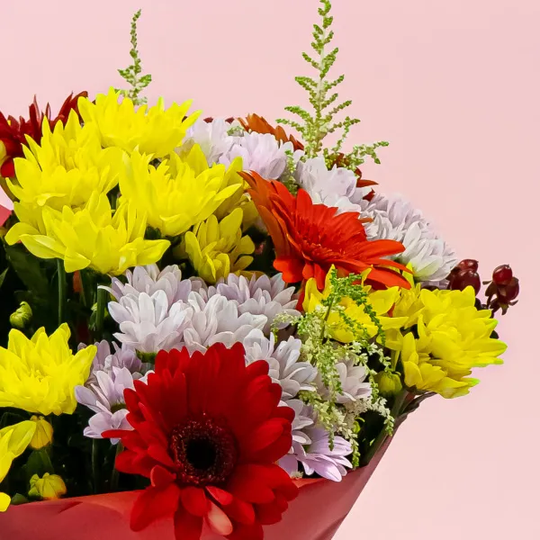 Букет из хризантем микс и 7 гербер