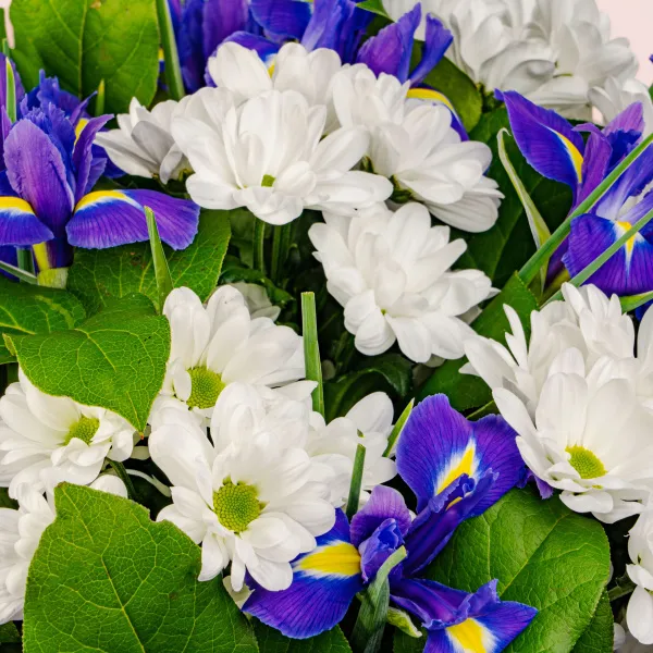 Букет из ирисов и хризантем