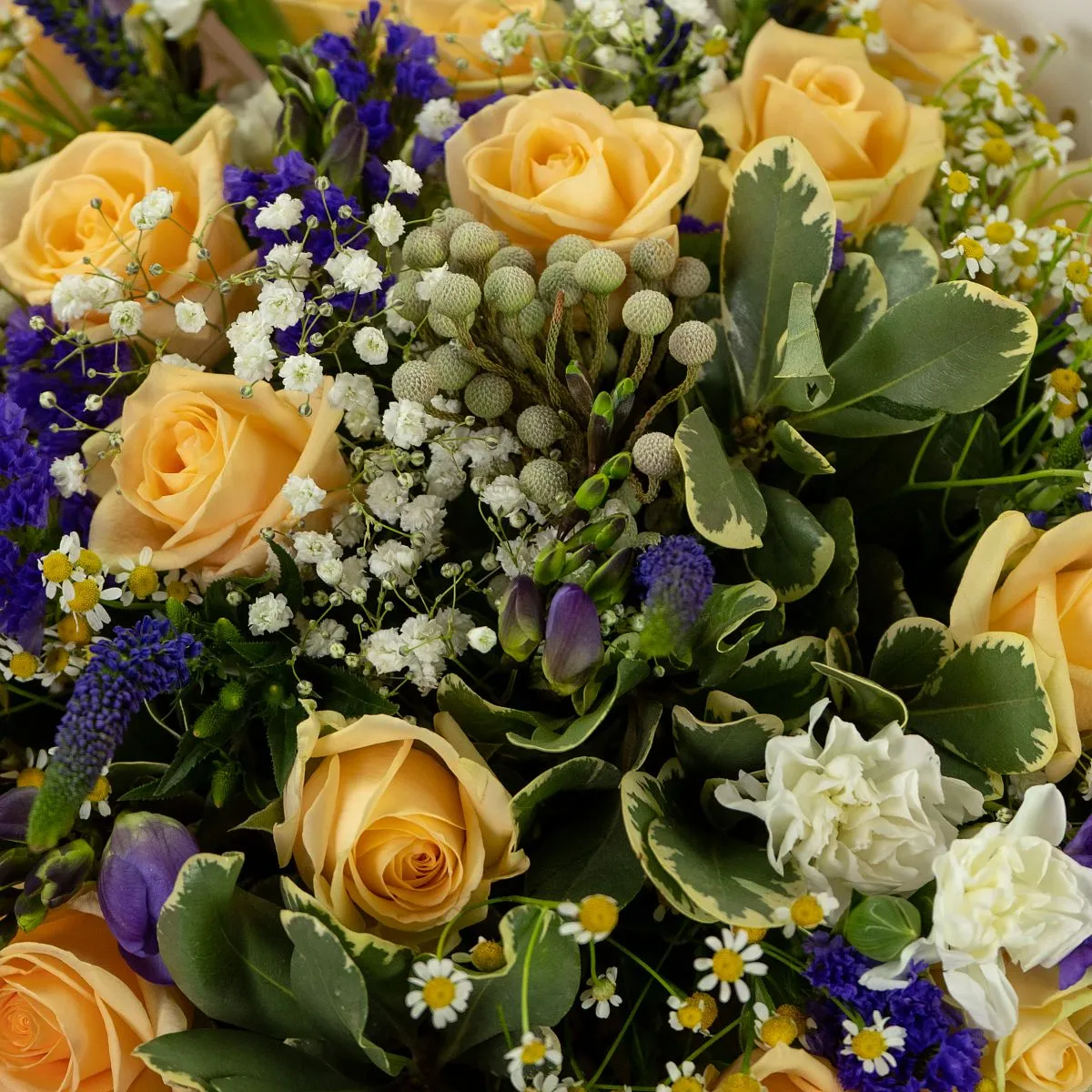 Букет из 20 роз и фрезий