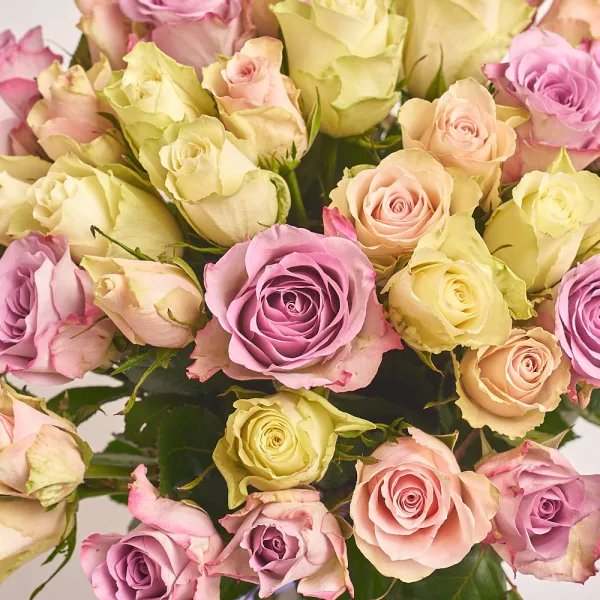 Букет из 51 нежной розы микс (50 см)