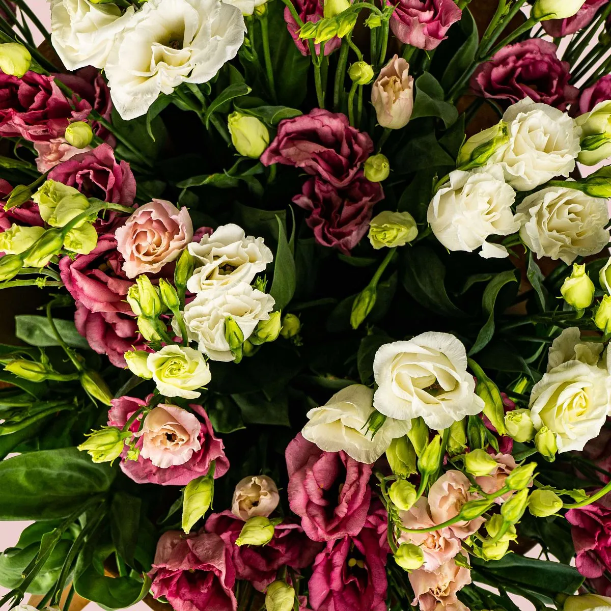 35 эустом большой