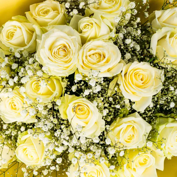 21 белая роза и гипсофила