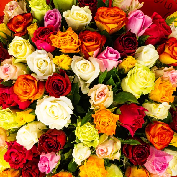 101 роза микс (60 см)