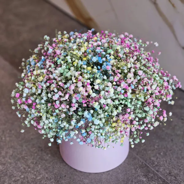 15 гипсофила в коробке