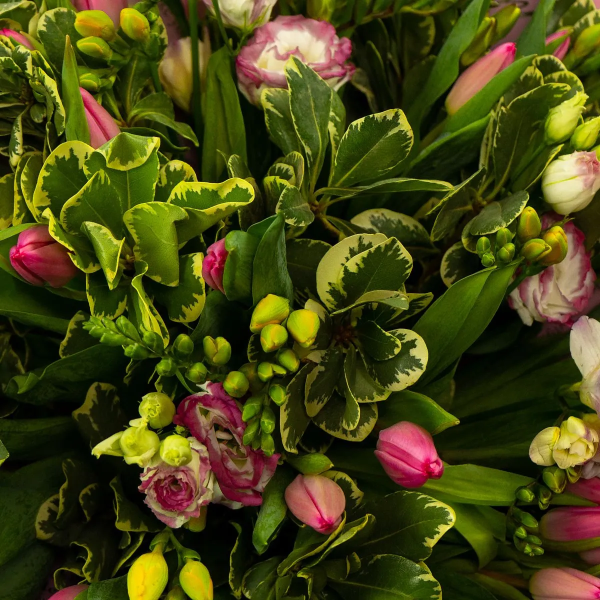 Букет из 25 тюльпанов и фрезий