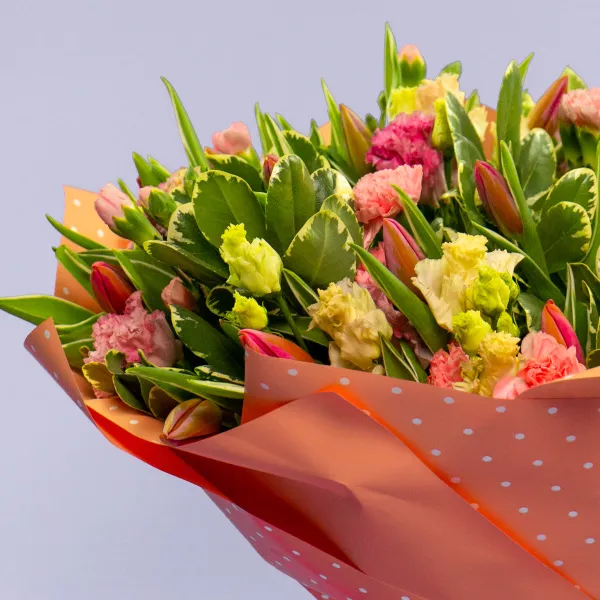 Букет из 25 тюльпанов и гвоздик