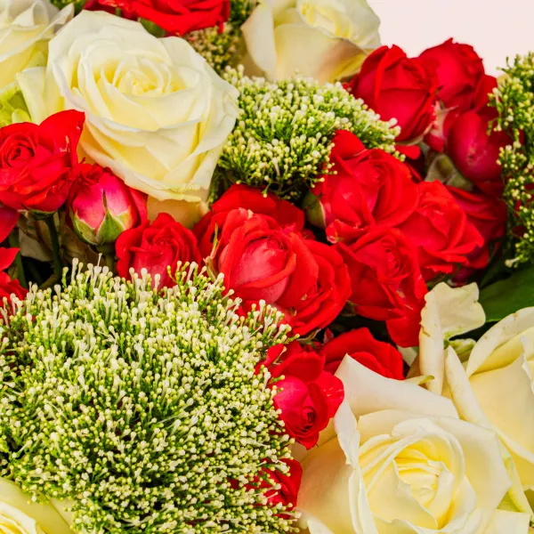 25 белых и красных роз микс