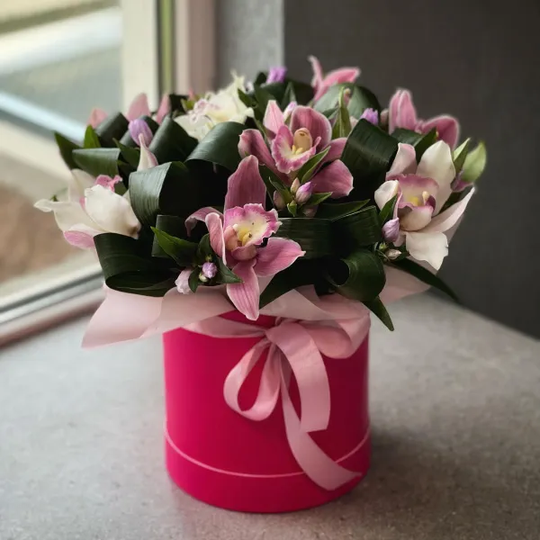 Гентиани и аспидистры в коробке