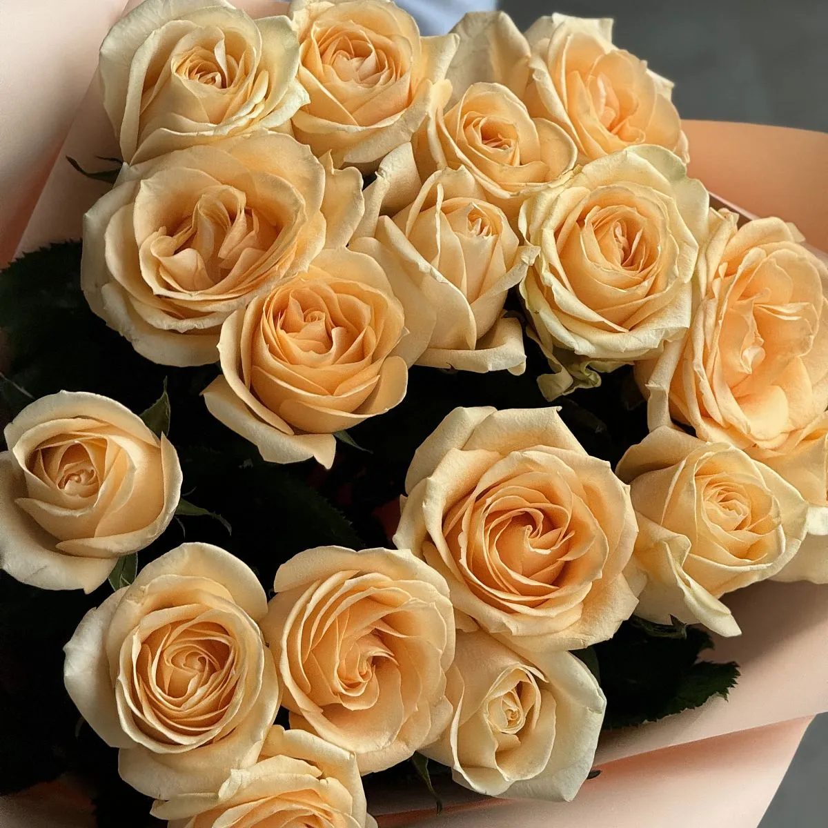 Букет из 17 кремовых роз (60 см)