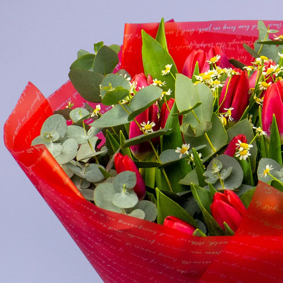 Букет из 25 тюльпанов и танацетумов