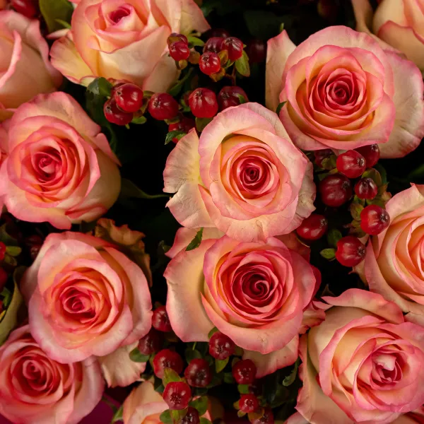 Букет из 31 бело-розовой розы