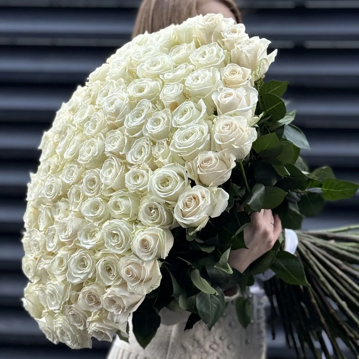 Букет 251 белая роза эквадор (70см)