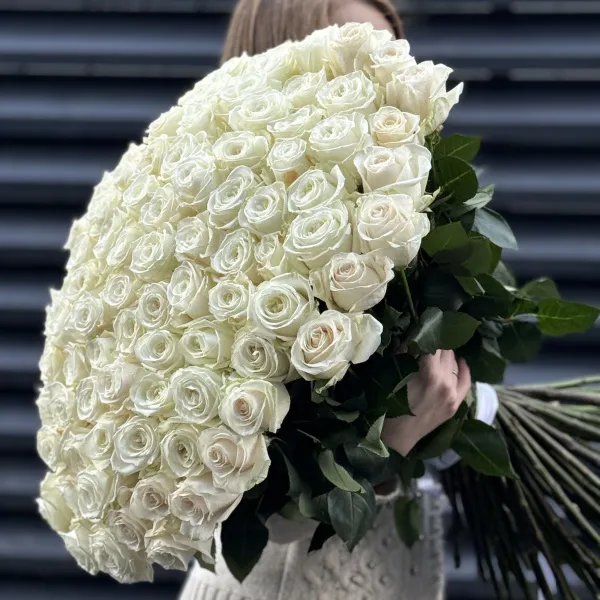 Букет 101 белая роза эквадор (70см)