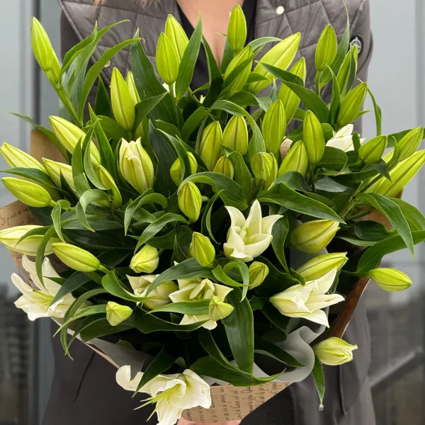 Букет из 11 бело-зелёных лилий