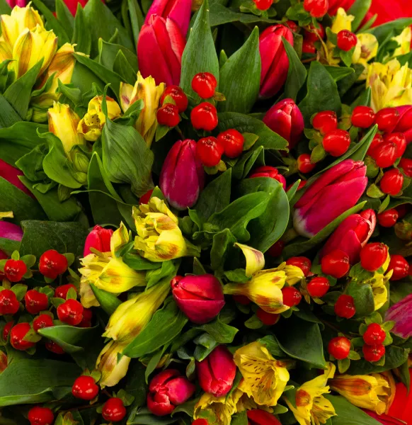 Букет из 38 тюльпанов и альстромерий