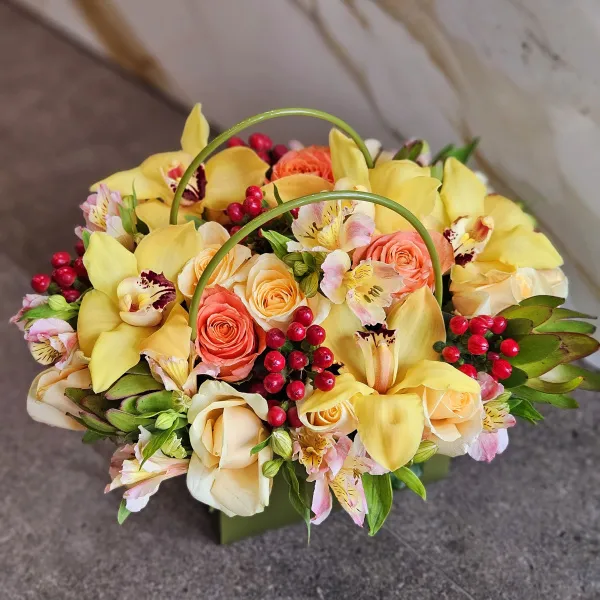 Розы, гиперикумы и сафари в коробке