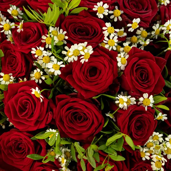 Букет из красных роз и ромашек
