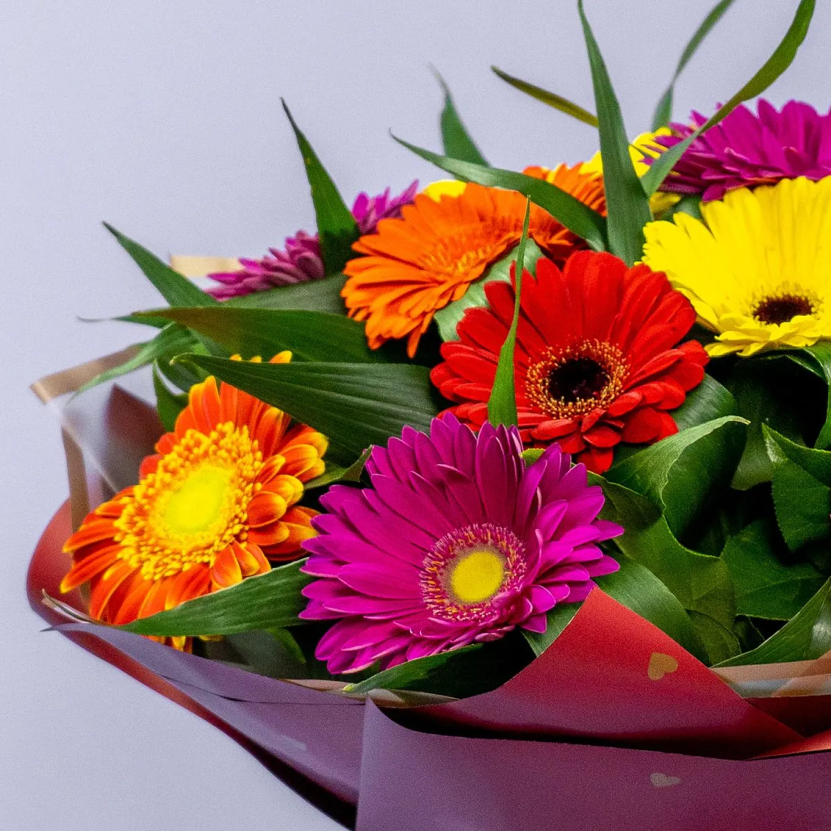 Букет из 15 гербер