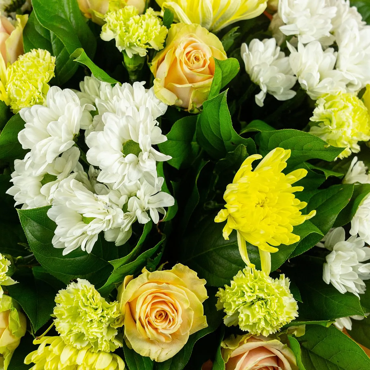 Букет из хризантем микс и гвоздик