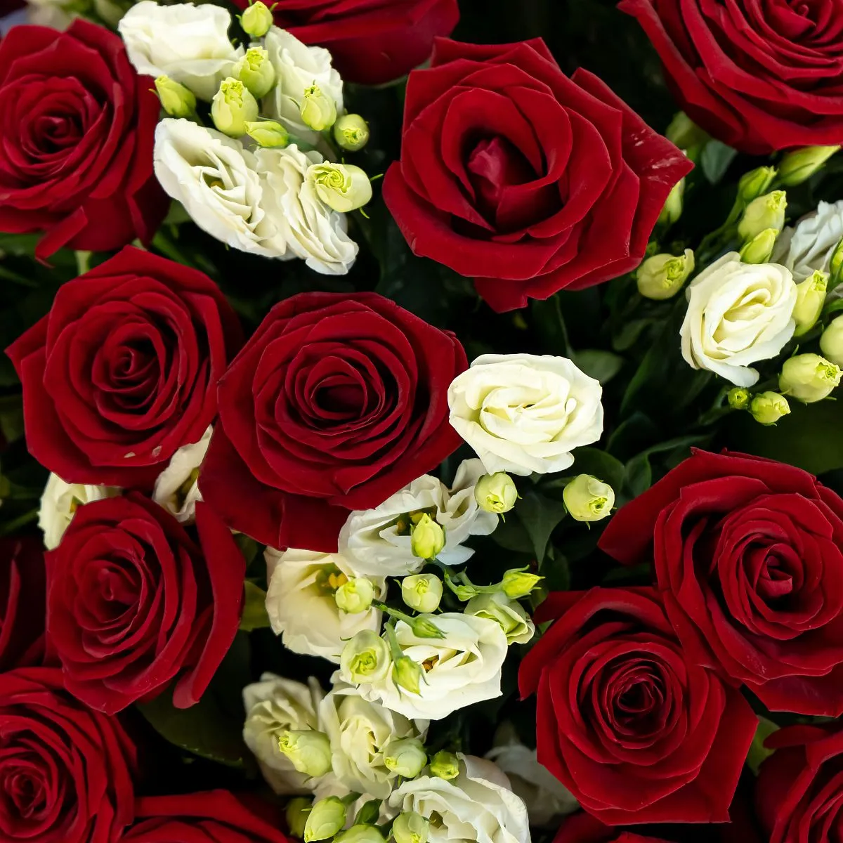 Букет из роз и белых эустом