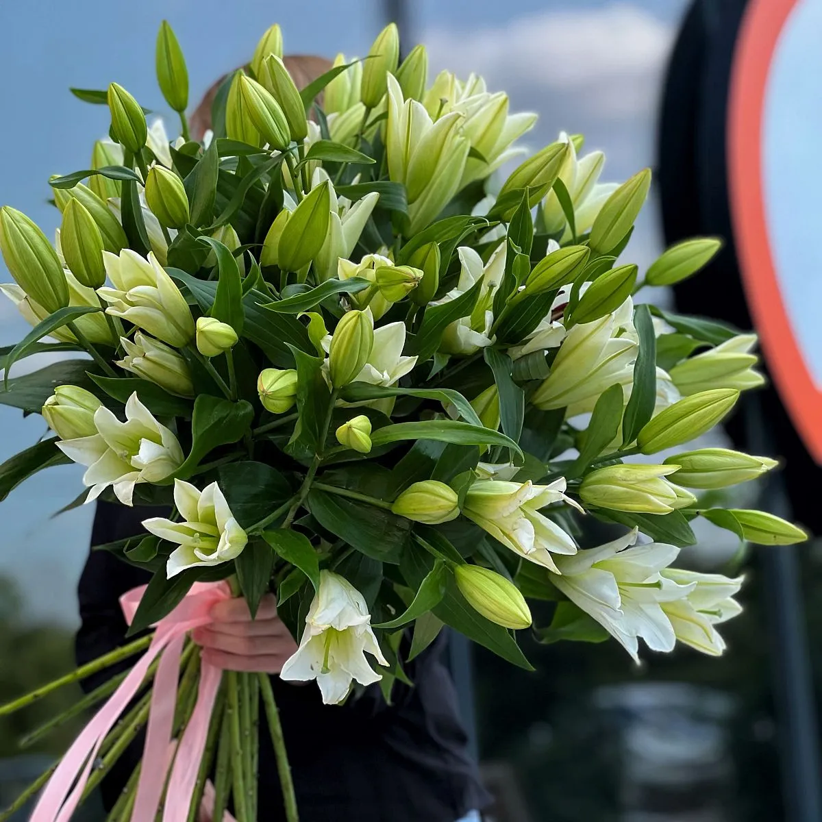 21 бело-зелёная лилия