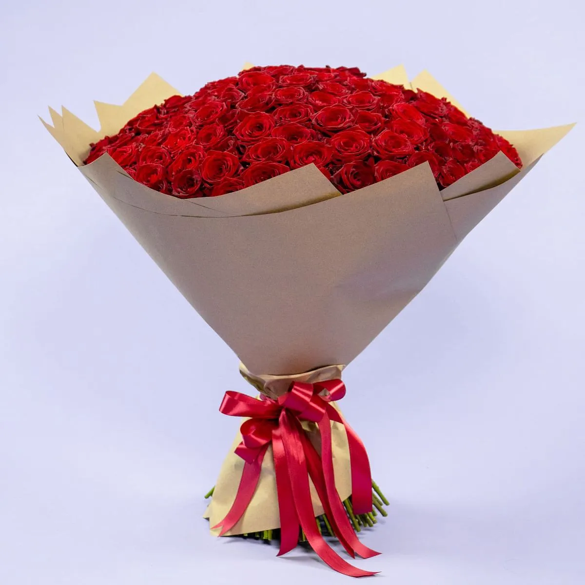 151 красная роза (60 см)