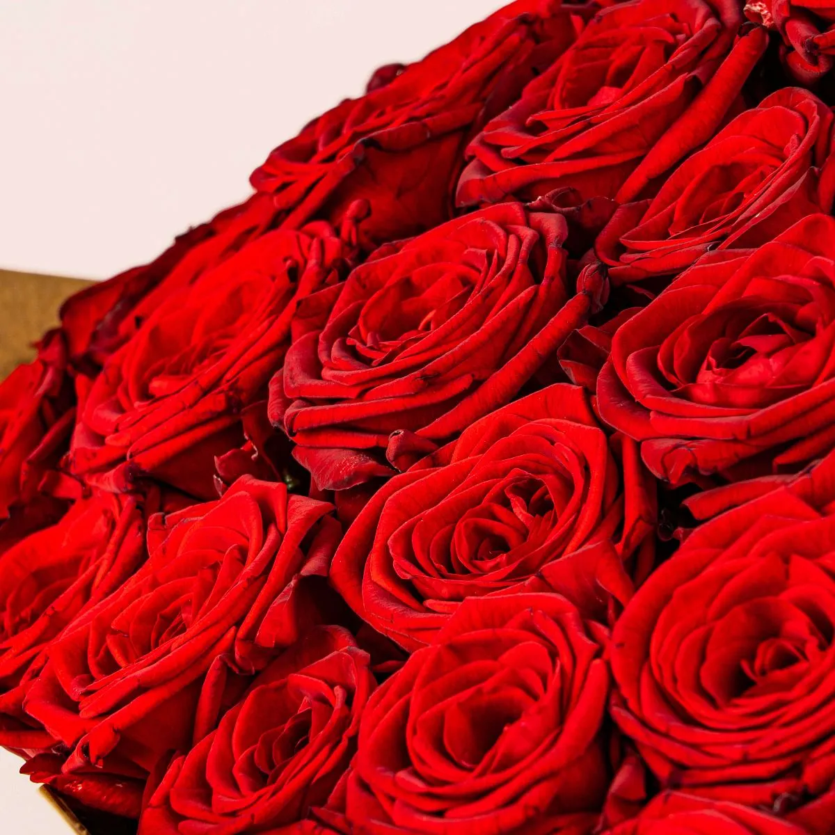 101 красная роза (40 см)