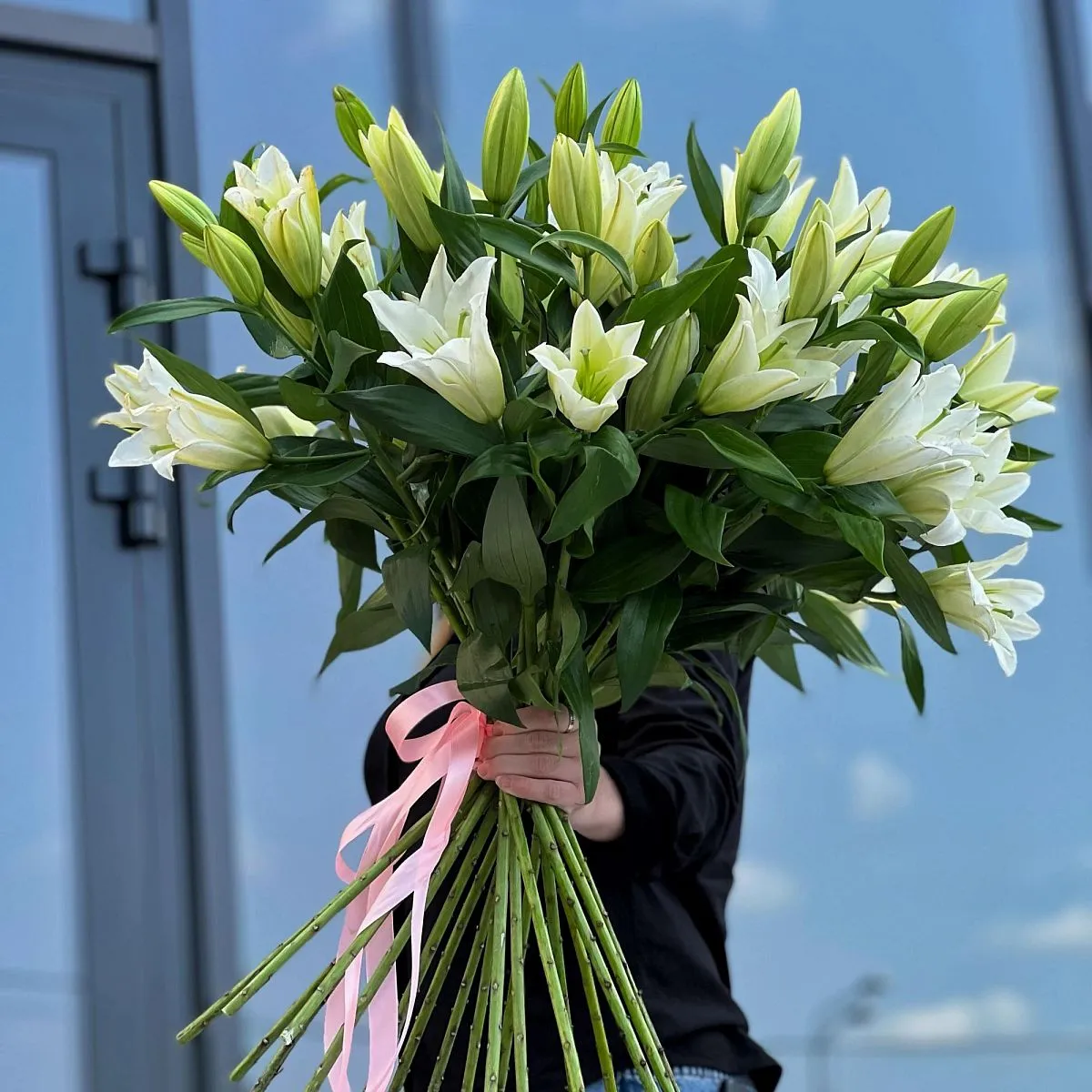 21 бело-зелёная лилия