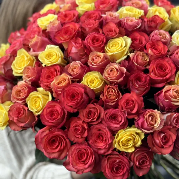 Букет 101 красно-желтый микс роз эквадор (70см)
