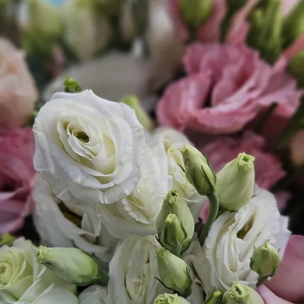 Букет из эустом