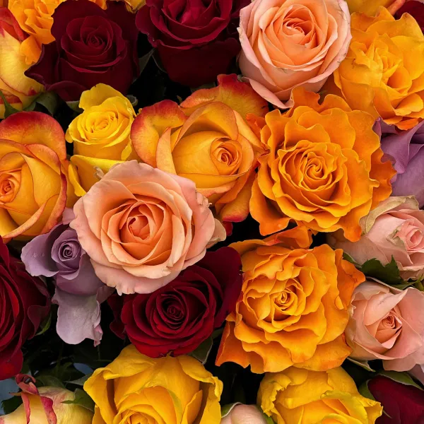 37 роз микс (35 см)