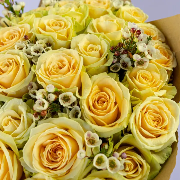 Букет из 31 кремовой розы