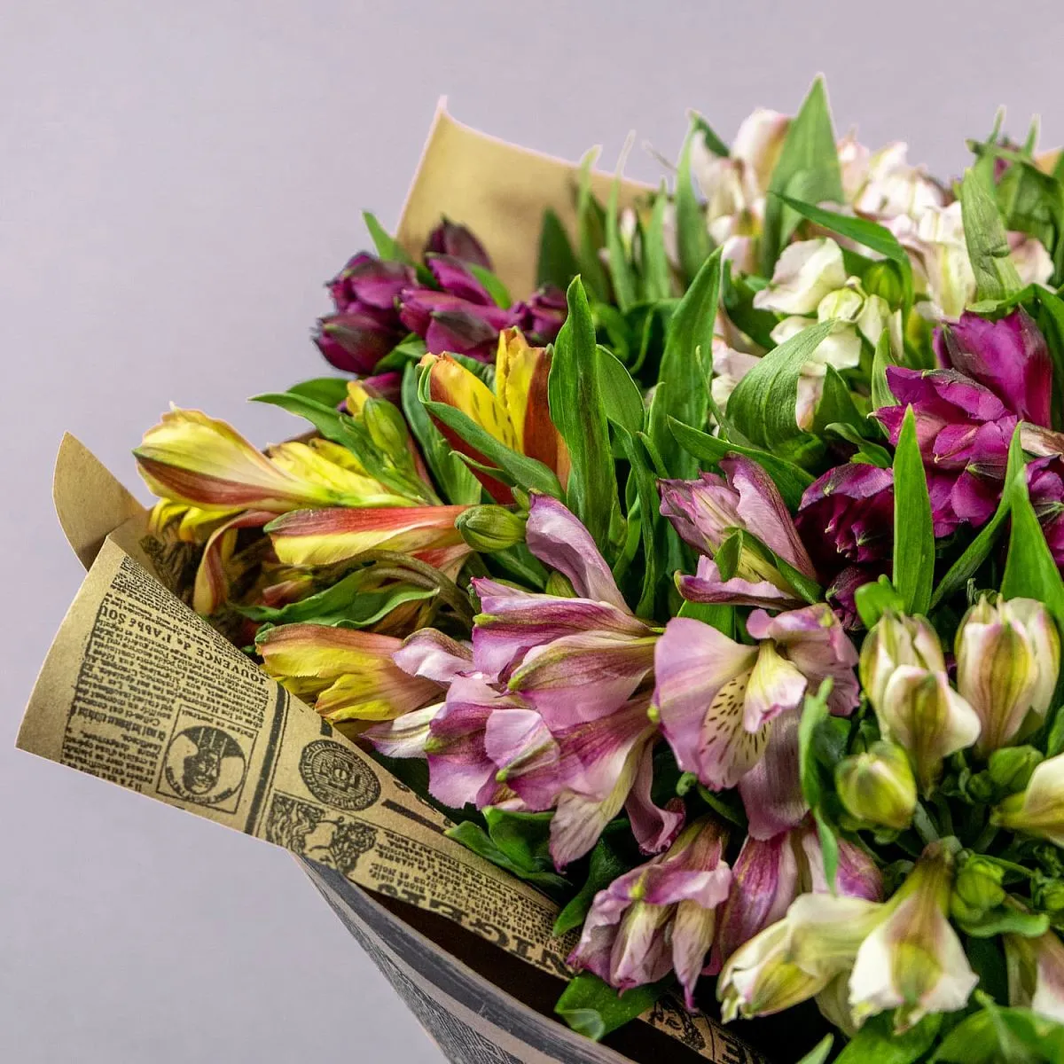 41 альстромерий