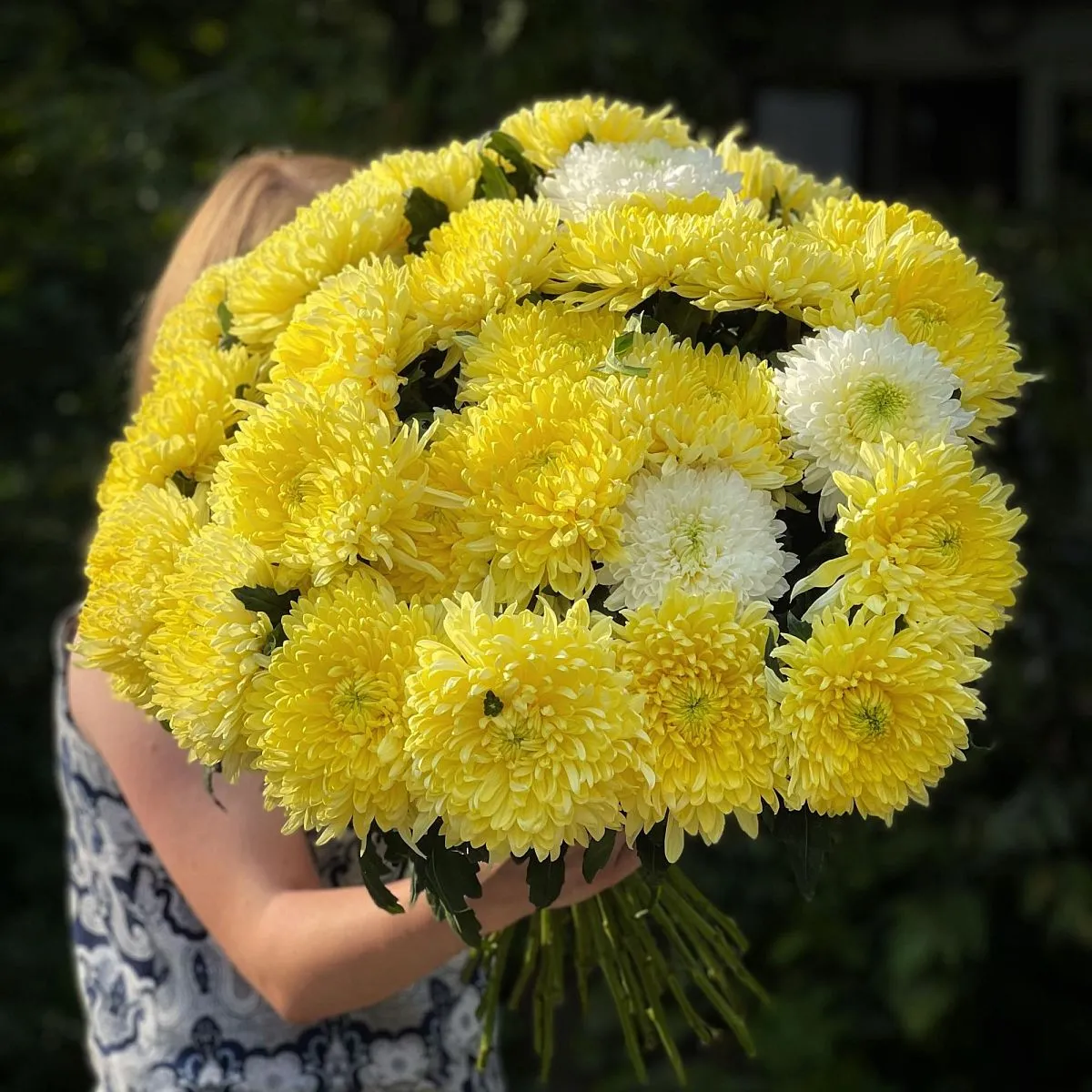 29 одноголовых хризантем