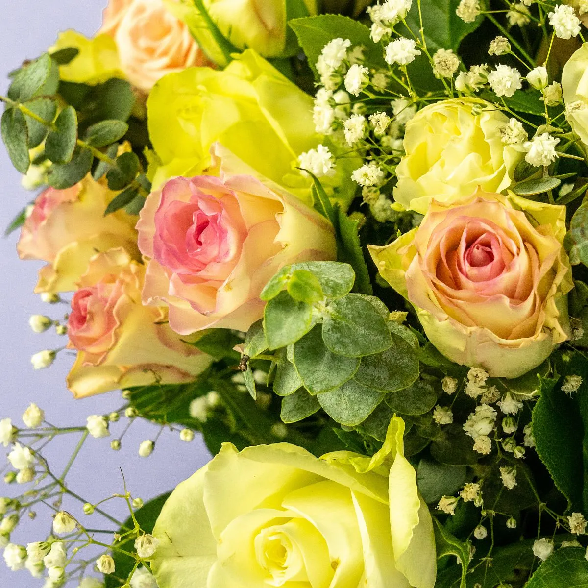 Розы микс и гипсофилы в коробке