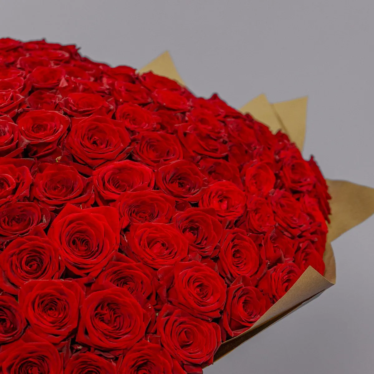 251 красная роза (60 см)