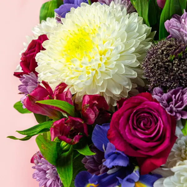 Ирисы и хризантемы микс в коробке