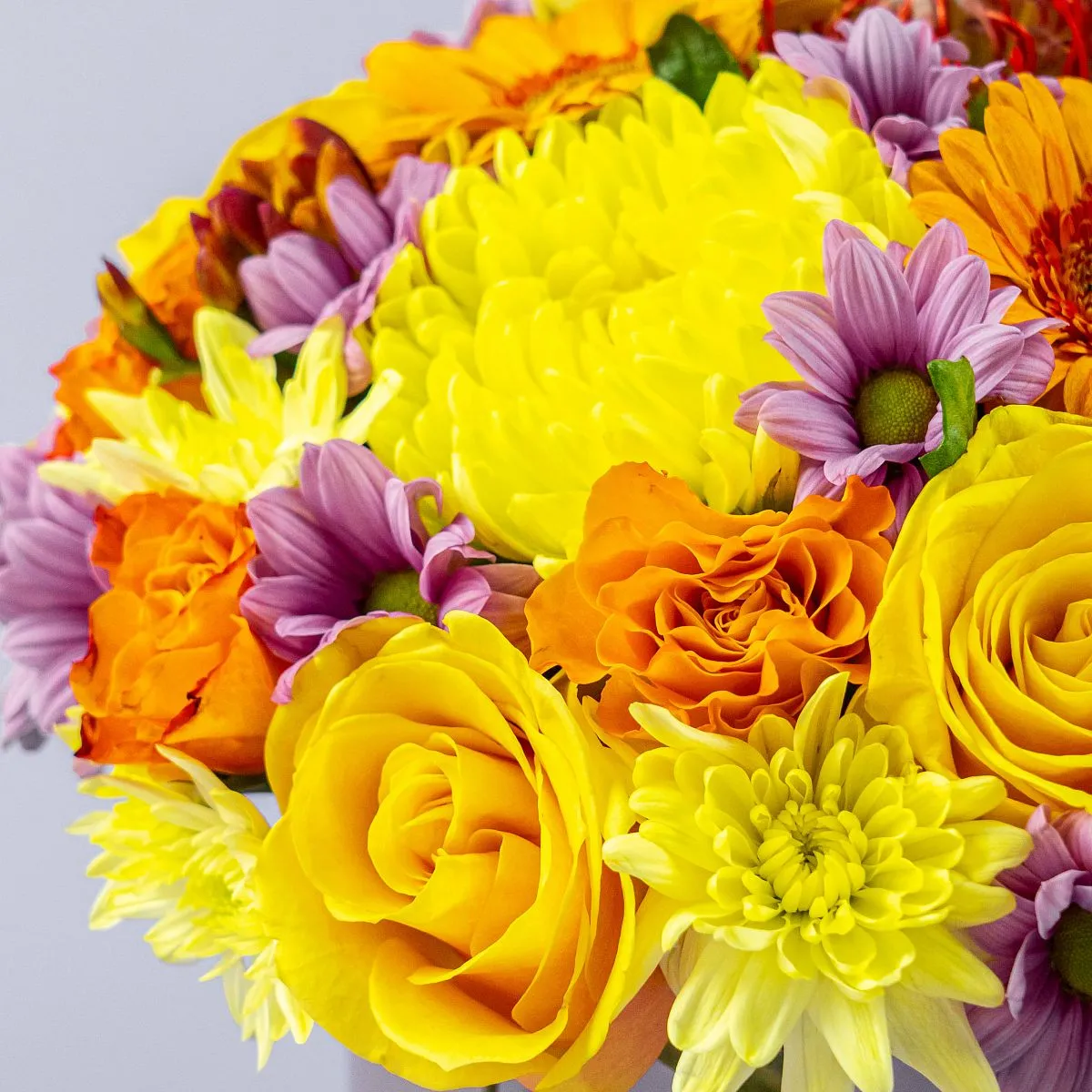 Розы микс и хризантемы микс в коробке